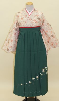 小紋・袴フルセット「ベージュ地に優しい小桜」