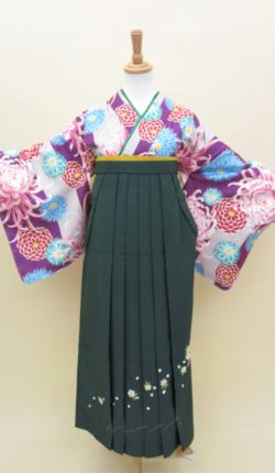 小紋・袴フルセット「紫地に華やか菊花」