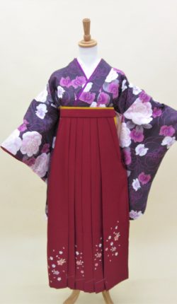 小振袖・袴フルセット「紫地に優しい花々」