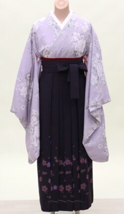 小振袖・袴フルセット「薄紫地に優しい花々」